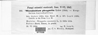 Image Associated With the Occurence